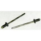 Image for RIVET