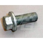 Image for Screw Flanged M12 x 30mm