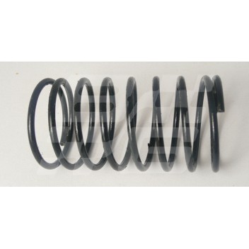 Image for MGB King pin dust tube spring