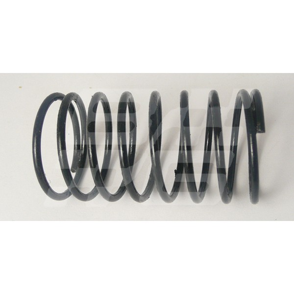 Image for MGB King pin dust tube spring