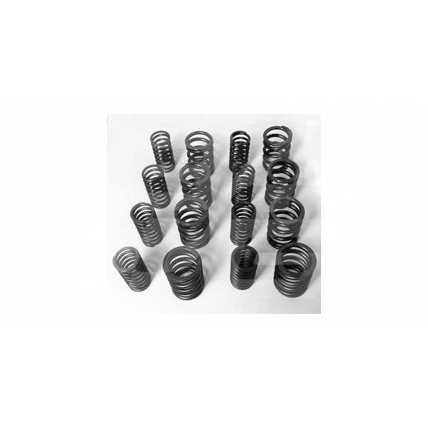 Image for MGA-MGB Uprated comp  valve spring set